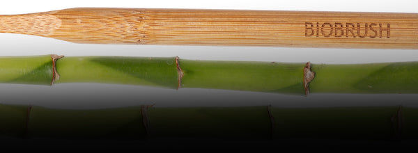 Razones para elegir Cepillos de Bambú