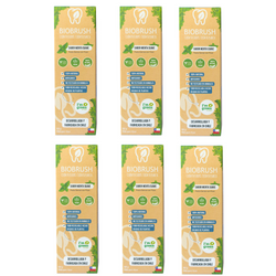 Pack 6 Pastas Dentales Naturales Menta C/Flúor 100 gr