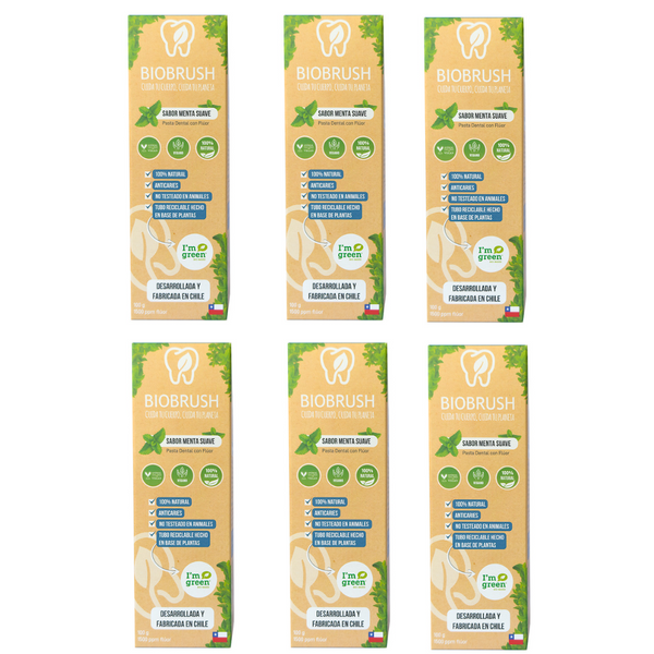 Pack 6 Pastas Dentales Naturales Menta C/Flúor 100 gr