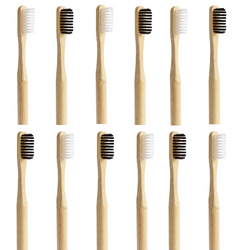 Pack 12 Cepillos Medio
