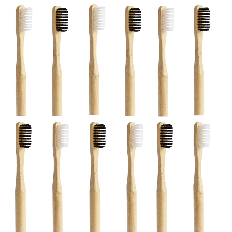 Pack 12 Cepillos Medio