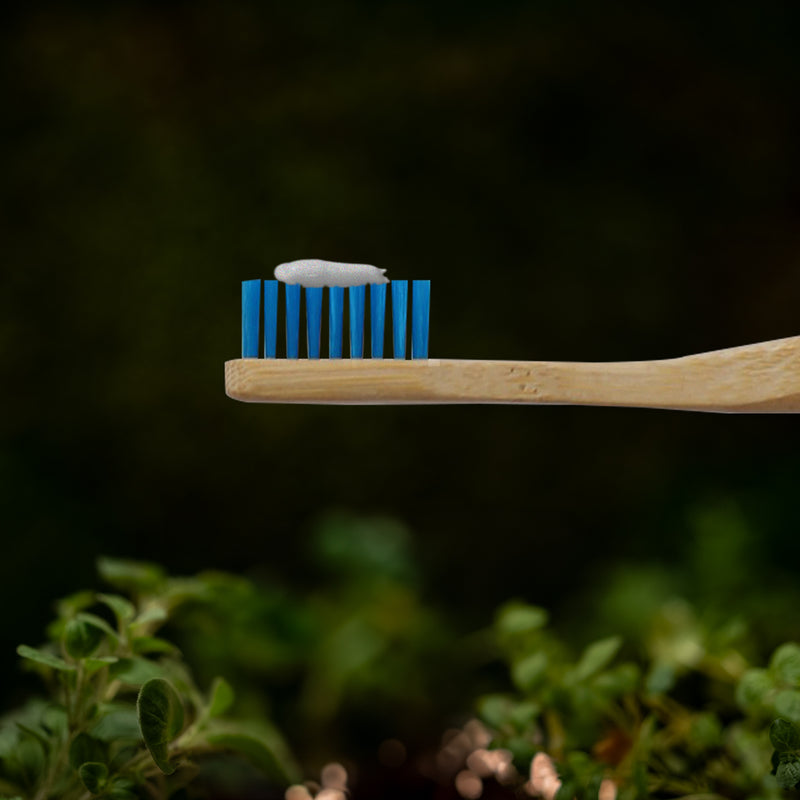 Cepillo de Dientes de Bambú Suave Azul