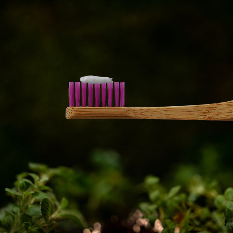 Cepillo de Dientes de Bambú Ortodoncia Suave Morado