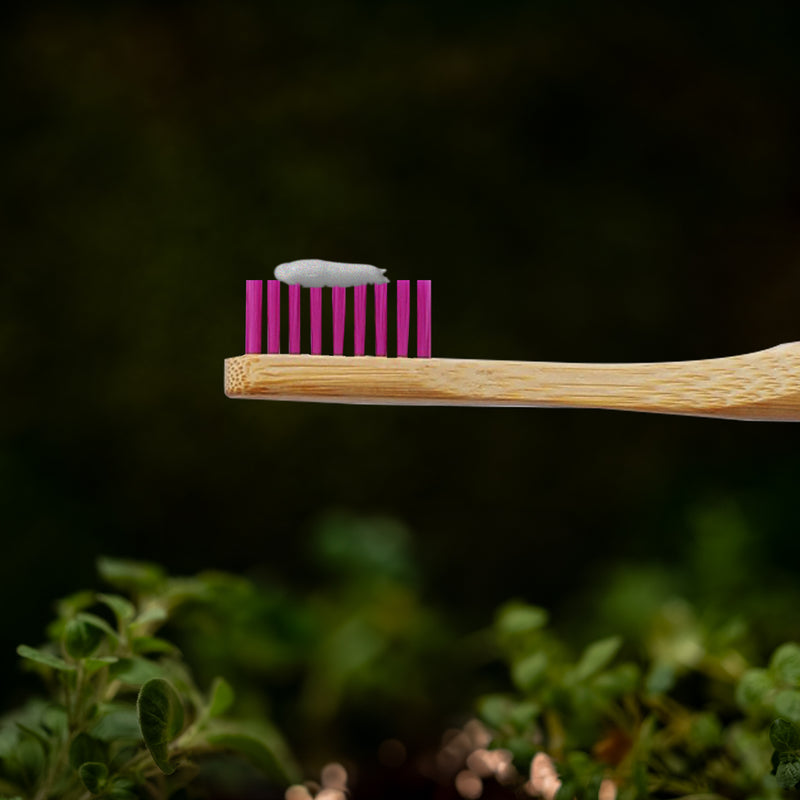 Cepillo de Dientes de Bambú Suave Morado