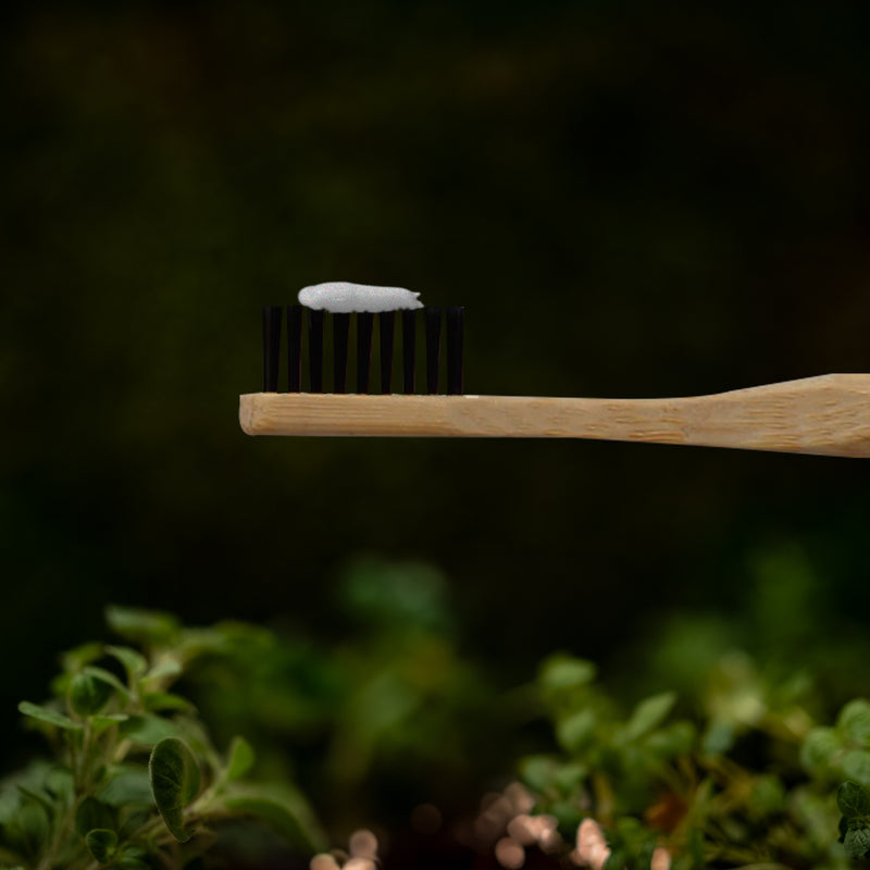 Cepillo de Dientes de Bambú Medio Negro