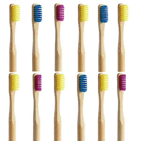 Pack 12 Cepillos Suaves